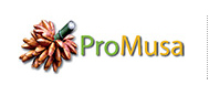 logo ProMusa