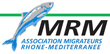 logo-MRM