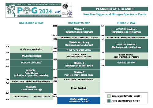 Planning at a glance