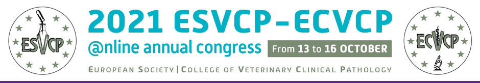 Bandeau - Webinar ESVCP-ECVCP 2021