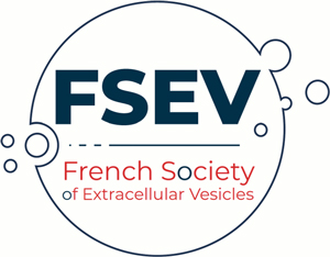 Logo fsev