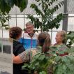 Conference Lunch & CIFC Greenhouse - 50 sur 76