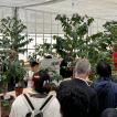 Conference Lunch & CIFC Greenhouse - 54 sur 76