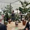 Conference Lunch & CIFC Greenhouse - 62 sur 76