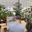 Conference Lunch & CIFC Greenhouse - 36 sur 76