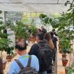 Conference Lunch & CIFC Greenhouse - 49 sur 76