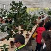 Conference Lunch & CIFC Greenhouse - 37 sur 76