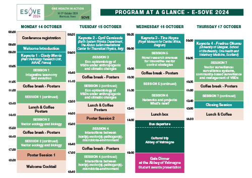 Program at a glance