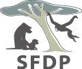 logo-SFDP