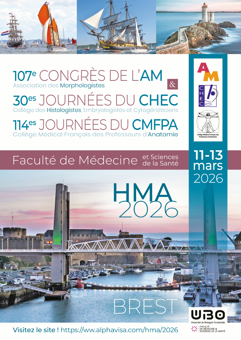 Affiche d’annonce