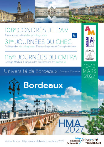 Affiche d’annonce