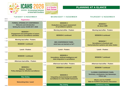 Planning at a glance