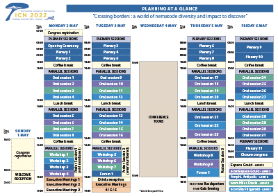 Planning at a glance