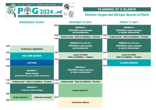 Planning at a glance