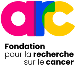 Logo arc