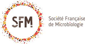 Logo SFM