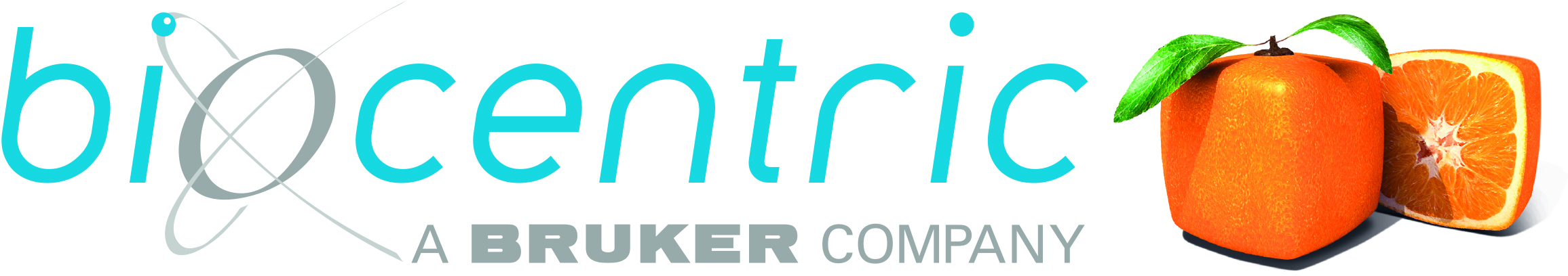 Logo Biocentric/Bruker