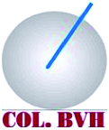 Logo COL_BVH