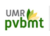 logo UMR