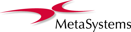 Logo MetaSystems-OK