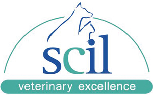 Logo Scil