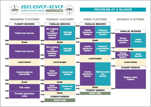 Program at a glance