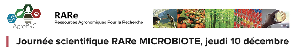 Bandeau - Journée Microbiote RARe 2020