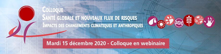 Bandeau - Webinaire Santé globale 2020