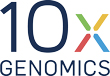 Logo 10x